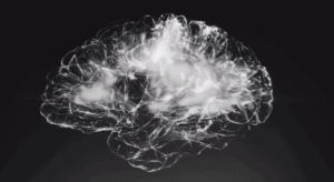 How AI Emulates the Behavior of...