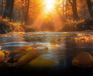 Going Upstream ~ How coaches can...