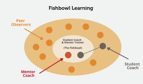 fishbowl