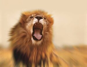 Can You Change Your Roar? –...